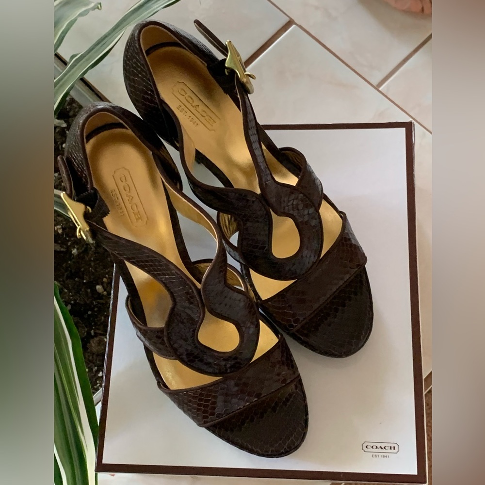 COACH IVANAH PYTHON/NUBUCK CHESTNUT BROWN SIZE 8M NEW IN BOX - Picture 9 of 16